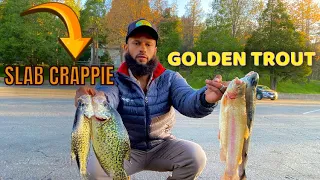 Epic fishing at LAKE GREGORY!!! (Golden Trout, Slab Crappie)