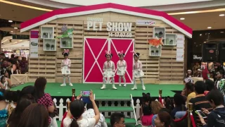 [2016.07.16] Dance Show - Bubblegum (jason Derulo) @central