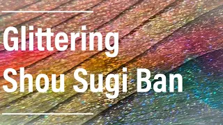 Glittering Rainbow Shou Sugi Ban - How to Torch Wood & SPARKLiNG Wood Stain