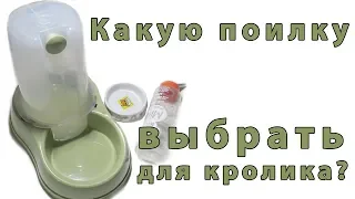 Какую поилку выбрать для кролика?