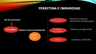 Ferritina como biomarcador de inflamación