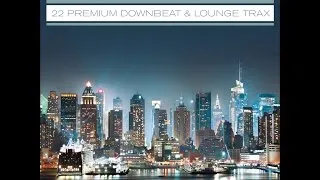 Various Artists - Nightflight New York...22 Premium Downbeat & Lounge Trax (Manifold Records) [F...