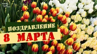 С ПРАЗДНИКОМ 8 МАРТА! Весенние цветы и красивое поздравление от всей души!