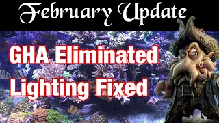 Reef Aquarium - eaReef Pro 900 - Episode 77 - February Update
