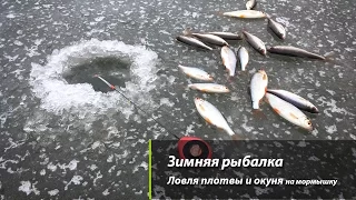 Зимняя рыбалка  Ловля плотвы и окуня на мормышку