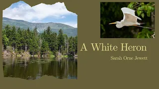 A White Heron | Sara Orne Jewett | A 03 | Readings from the Fringes