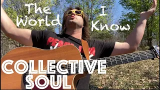 Guitar Lesson: How To Play Collective Soul's The World I Know