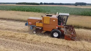 ㋡ Żniwa 2023 z Polskim klimatem 🔥 Bizon Z056 w akcji 😲 Pierwszy raz na kanale 😎 Agro Bracia ㋡