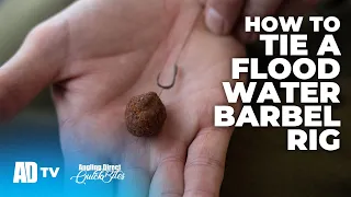 How To Tie A Flood Water Barbel Rig - Specialist Fishing Quickbite