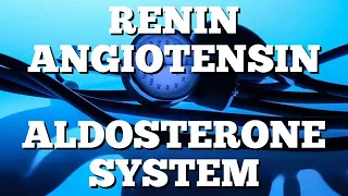 Renin Angiotensin Aldosterone System: RAAS Made Easy [Step-by-Step Guide]