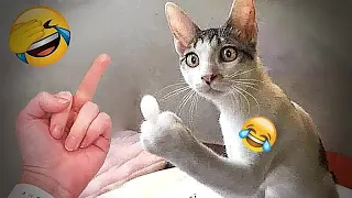 When a silly Cat becomes your best friend 😹🐶 The funniest animals and pets 😎