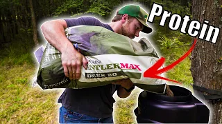 Feeding Whitetail Deer PROTEIN | Time to Watch Them Grow | DEER SCOUTING