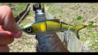 Catch a trout by throwing a big bait into Tiny Creek!!