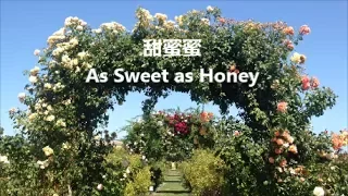 甜蜜蜜 As Sweet as Honey (後半段英文演唱，含字幕）