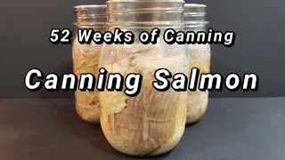 Pressure Canning Salmon - 52 Weeks of Canning