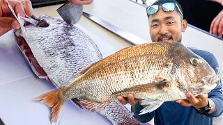 FISHING JAPAN | Master Class in Filleting Fish(Japanese Technique)