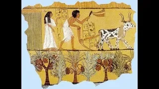 Ancient Egyptian Farming