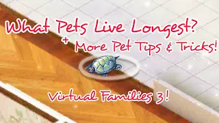 Pet Tips & Tricks! Virtual Families 3!