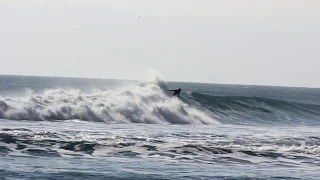 PuerteZion - Surf en puertecillo