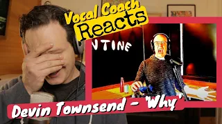 Vocal Coach REACTS - Devin Townsend 'Why'