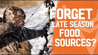 Forget Late Season Food Sources?