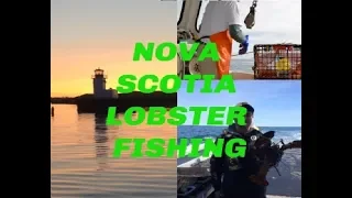 COLD WATER LOBSTER FISHING- A Day in the life