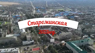 староминская