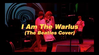 Oasis(오아시스) live at Knebworth 1996 - I Am The Walrus (The Beatles Cover) [한글가사]