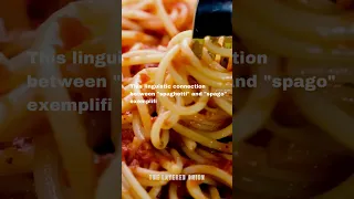 Fun Facts:"Unveiling the Spaghetto: The Singular World of Spaghetti" #viral #facts #funfacts #shorts