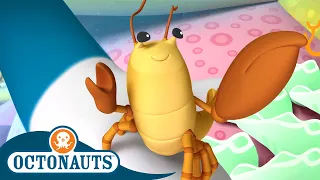 Octonauts - Snapping Shrimp and The Mixed-Up Whales | Cartoons for Kids | Underwater Sea Education