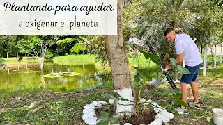 Sembrando PLANTAS para ayudar al planeta 🌍 🪴