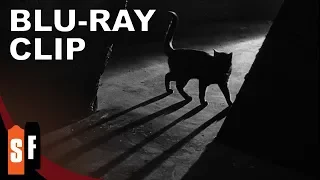 Universal Horror Collection: Vol. 1 - The Black Cat (1934) - Clip: Scaredy Cat (HD)