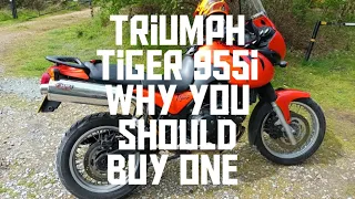 triumph tiger 955i why you should buy one.