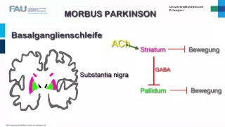 Neuropathologie ─ Entstehung von Morbus Parkinson