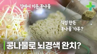 집에서 키운 콩나물로 뇌경색은 물론 고혈압 관리까지?