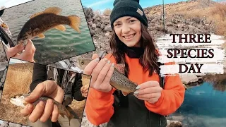Winter Fly Fishing // The Beaver River & Minersville Res