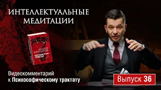 Интеллектуальные медитации. Видеокомментарий к Психософическому трактату: выпуск 36