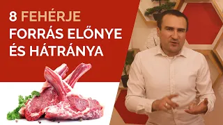 8 Fehérje forrás előnye és hátránya