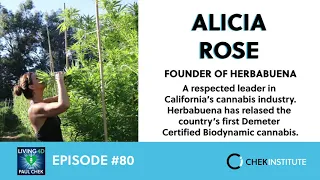 Episode 80 - Alicia Rose: Marijuana: Freedom or Bondage/Balance or Disease?