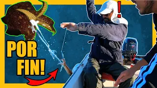 Pesca de CALAMARES DESDE EMBARCACION! (🤿 Con IMÁGENES SUBMARINAS) - Jurel Ramon #59