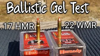 Hornady V-Max .17 HMR vs .22 WMR 22 Magnum Ballistic Gel Test