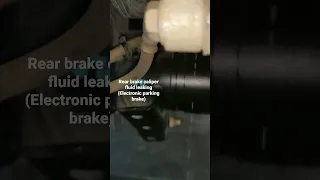 Rear Brake caliper fluid leaking (Electronic parking brake)