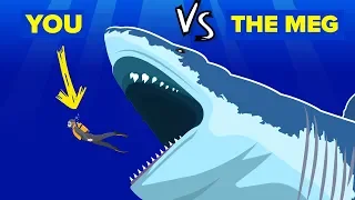 YOU vs THE MEG - How Can You Defeat and Survive It (The Meg Shark Movie)