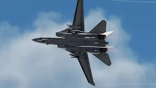 Heatblur F 14B Demonstration Video VFAT 2018