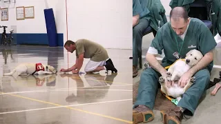 Inmates Find Purpose While Training Service Dog In Prison