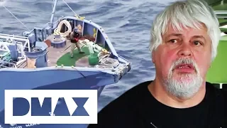 Sea Shepherds Can't Stop Whalers From Killing Whales | Whale Wars