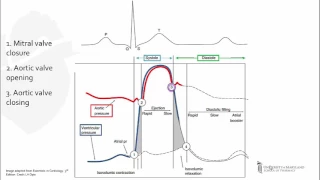 Left Ventricular Pressure-Time Curve