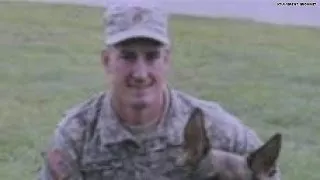 Soldier looking for dog who saved his life