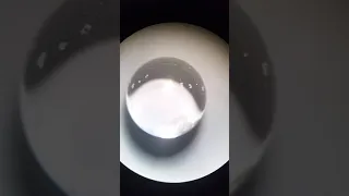 Water droplet freely rotating on superhydrophobic surface