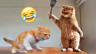 Must-See Funny Moments with Cats & Dogs 🐱🐶#15